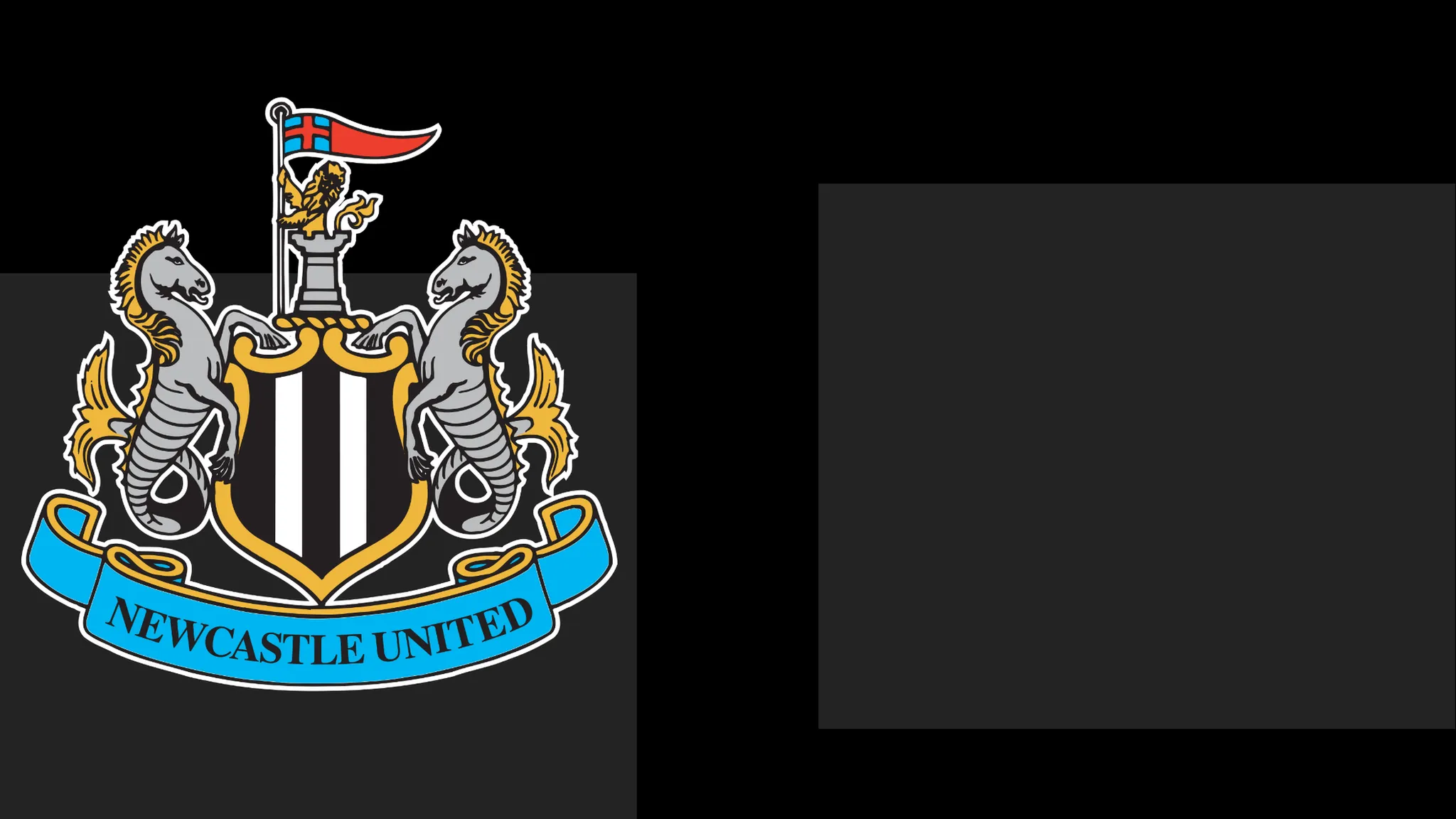 Newcastle's boss Praises Team's Heart – Yet It Only Takes Them This Far